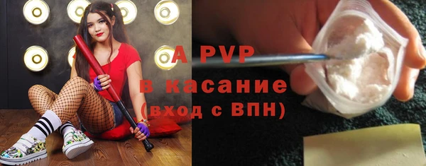 хмурый Гусев