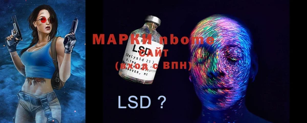 гидропоника Гусь-Хрустальный