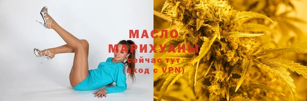 гидропоника Гусь-Хрустальный