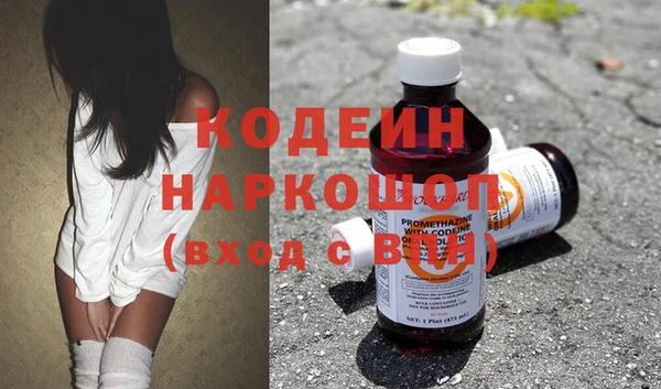 хмурый Гусев