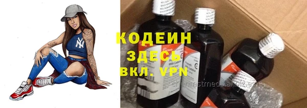 хмурый Гусев