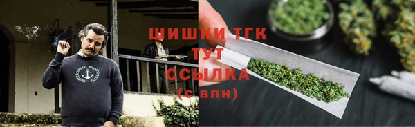 хмурый Гусев