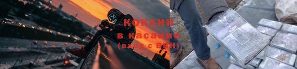 сатива Гусиноозёрск