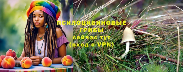 jwh Михайловск