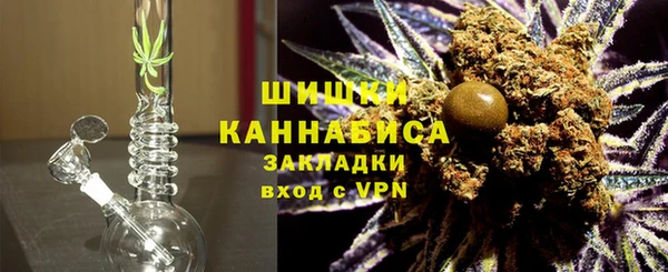 сатива Гусиноозёрск
