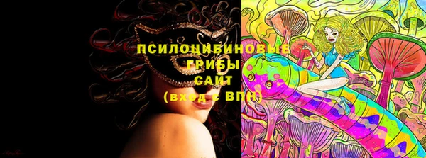 хмурый Гусев