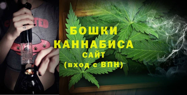 гидропоника Гусь-Хрустальный