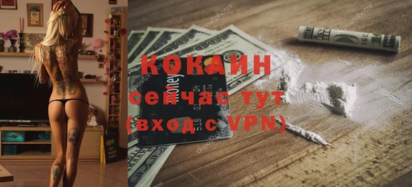 хмурый Гусев