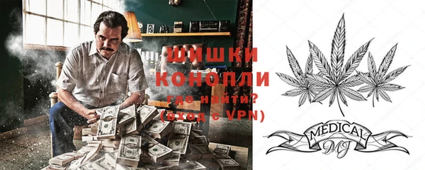 гидропоника Гусь-Хрустальный