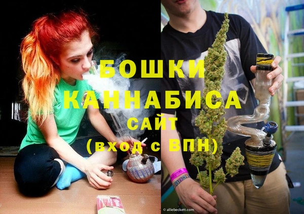 хмурый Гусев