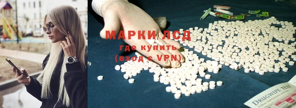 сатива Гусиноозёрск