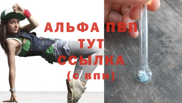сатива Гусиноозёрск