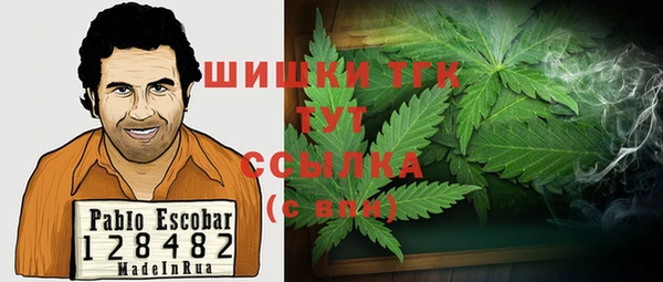 хмурый Гусев