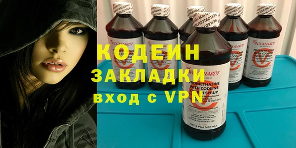 хмурый Гусев