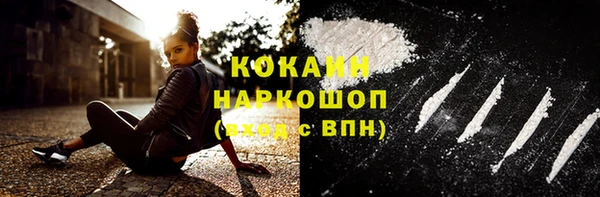 хмурый Гусев