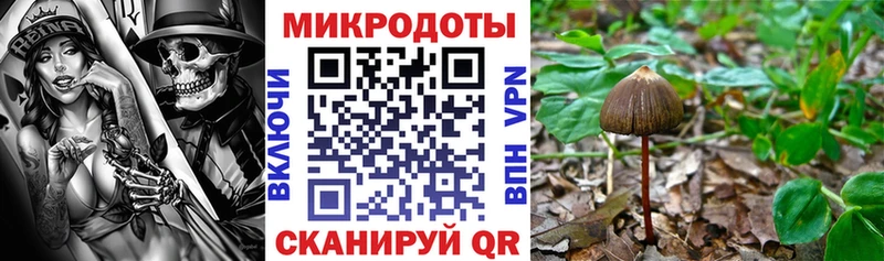 Галлюциногенные грибы MAGIC MUSHROOMS  купить   ОМГ ОМГ ССЫЛКА  Можайск 