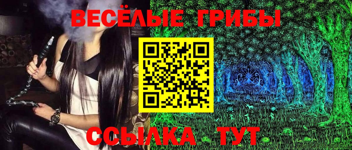 Галлюциногенные грибы Cubensis Можайск