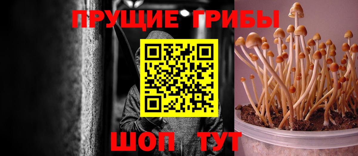 Можайск  Галлюциногенные грибы MAGIC MUSHROOMS  Вход с VPN 